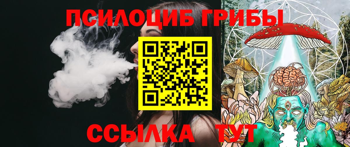 Псилоцибиновые грибы Psilocybe Печора