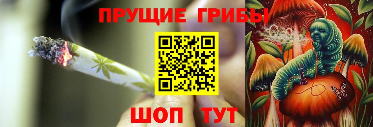Галлюциногенные грибы Magic Shrooms  как найти закладки  Печора  Вход с VPN 